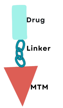 MTM conjugate: drug, linker and MTM targeting molecule